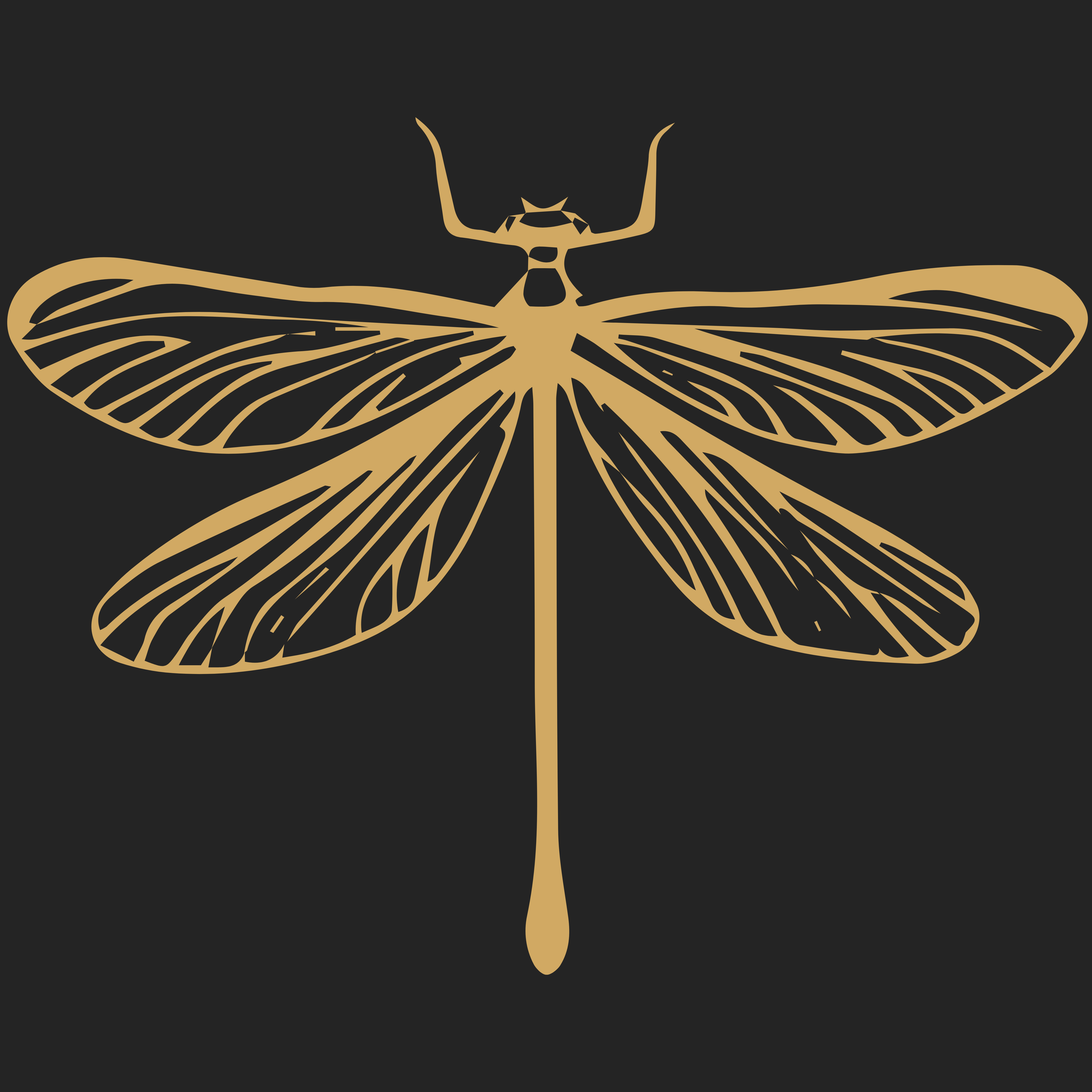 Dragonfly